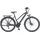 Prophete Entdecker 5.0 36V 28 Zoll RH 52 cm Schwarz-Silber Matt