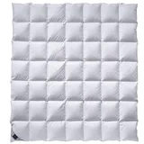 Billerbeck CATALINA® Mono Ganzjahresdecke mit Gänsedaunen-Füllung Weiß 200 x 200 cm
