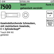 F. REYHER Nchfg. GmbH & Co. KG DIN 7500 Form E Gewindefurchende Zylinderkopfschraube M5 x 35 1000 Stück