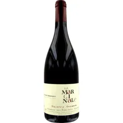 Saumur Champigny - La Marginale 2023 - Domaine Roches Neuves - Thierry Germain