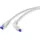 Renkforce RF-4892528 RJ45 Patchkabel CAT 6a S/FTP 0.50m Grau 90° nach unten gewinkelt