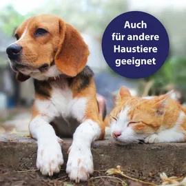 Canosept Hautpflege Spray für Hunde 250 ml