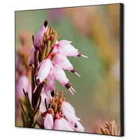 Showdown Displays Showdown Wanddekoration Set 40x40cm Pinke Blume Erica