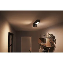 Philips Hue White & Col. Amb. Centris Spot 2 flg. Schwarz Lampe 2200 - 6500