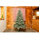 Evergreen Weihnachtsbaum Fichte Frost 180 cm