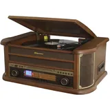 Roadstar HIF-1993 Braun