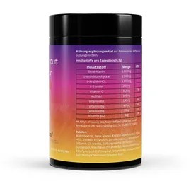 zytrion Pre-Workout Booster Apfel Pulver 520 g