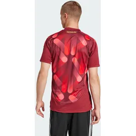 adidas DFB 25 (Frauenteam) Auswärtstrikot rot XS