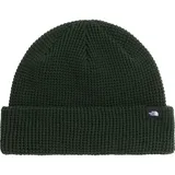 The North Face TNF Fisherman Beanie bottle green (NLW) OS