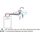 Vaillant VEN 5/7 U 5 Liter Untertischgerät