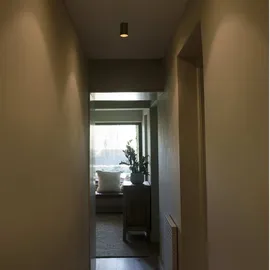 faro BARCELONA Stan Deckenleuchte 1xGU10 Schwarz/Aluminium