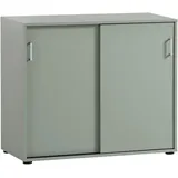 WELLTIME Niels Schiebetürenschrank 100,1 x 83,6 x 41 cm pistazie