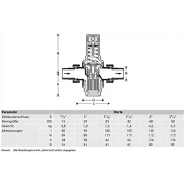 Honeywell D06F Druckminderer
