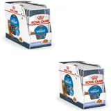 Royal Canin 24 x 85 g Royal Canin Light Weight Care in Gelee Nassfutter Katze