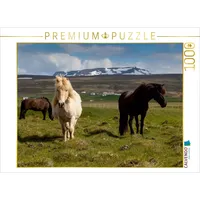 Calvendo Schwarz und Weiß 1000 Teile Puzzle quer |