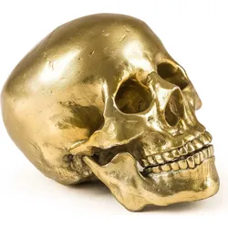 Wunderkammer Dekoration human skull goldfarben