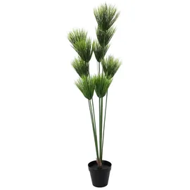 Europalms Papyrus, 150cm