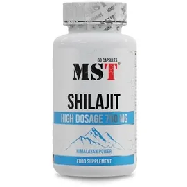 MST Shilajit Kapseln 60 St.