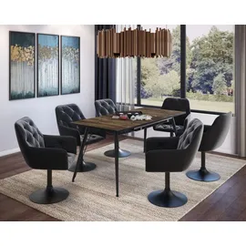 HELA Tische Apollo BIRTE Armlehnenstuhl,Sessel, Legierter Stahl, Anthrazit, 2er Set