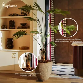 aplanta Künstliche Phoenixpalme - Simon | 390 cm,