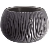 Prosperplast Sandy Bowl