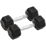 vidaXL Kurzhanteln 2 Stk. 10 kg Gusseisen schwarz