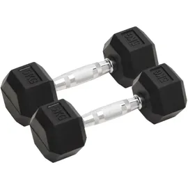vidaXL Kurzhanteln 2 Stk. 10 kg Gusseisen schwarz