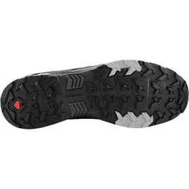 Salomon X Ultra 4 Gore-Tex Herren magnet/black/monument 42 2/3