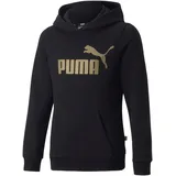 Puma Sportpullover/-Hoodie