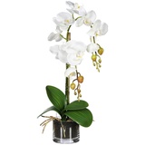 Kunstpflanzen, künstliche Orchidee weiß, im Glastopf Höhe 52 cm