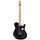 PRS SE NF 53 Black Doghair - E-Gitarre
