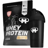 1kg Mammut Whey Protein Eiweißshake - Set inkl. Protein Shaker, Riegel, Powderbank oder Tasse (Caramel Cream, Gratis Mammut Shaker)