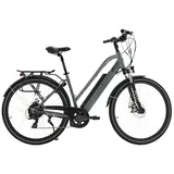 AsVIVA B15 E-Bike 28" Citybike, 250W Motor, 25 km/h, Shimano, LED, Akku - Grau