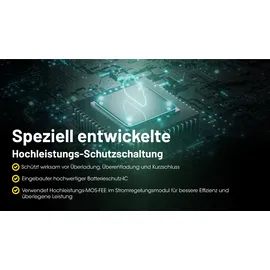 Nitecore NL2153HPi 21700 5300 mAh 1 St.