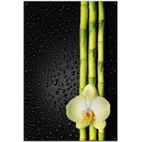 Wallario Sichtschutzzaunmatten Grüne Orchidee mit Bambus auf schwarz - Regentropfen gelb 61 cm x 91.5 cm