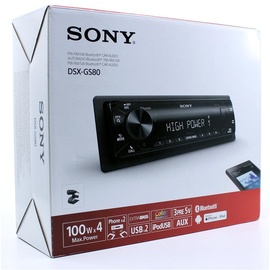 Sony DSX-S100