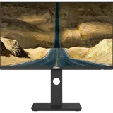 Dahua LM24-P301A 24" schwarz