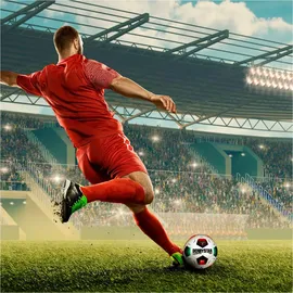 derbystar offizieller Fußball Spielball der 1. Bundesliga Brillant APS 2023/24 Gr. 5