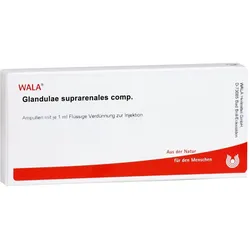 Glandulae Suprarenales comp.Ampullen