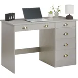 Idimex Schreibtisch LANA Kiefer grau