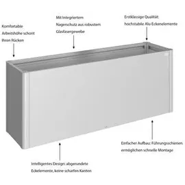 Biohort Hochbeet 2x0,5 201 x 53 x 77 cm silber-metallic