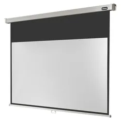 celexon Leinwand Rollo Professional 300 x 169 cm