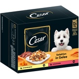 Cesar 12x 100g Cesar Selektion Fleisch und Gemüse in Gelee Hundefutter nass