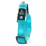 petsation Leuchtendes Katzenhalsband blau