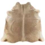 generisch KUHFELL STIERFELL GRAU BEIGE Natur 200 x 170 cm Rinder Fell Teppich Champagner