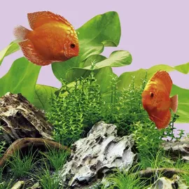 JUWEL AQUARIUM Aquarienbeleuchtung LED Colour 1200 mm