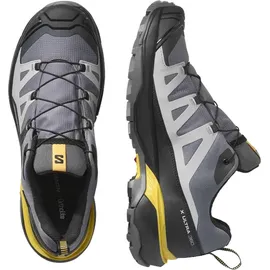 Salomon X Ultra 360 GTX Herren Castlerock/Black/Spicy Mustard 42