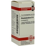 DHU-ARZNEIMITTEL RHODODENDRON D 6