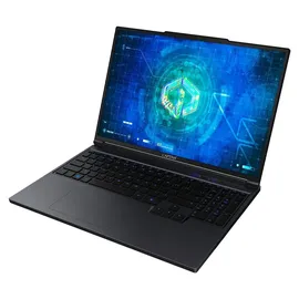CAPTIVA Highend Gaming I94-490GE 16'' Intel Core i9-14900HX 32 GB RAM 2 TB SSD RTX 5070 Ti ohne Betriebssystem