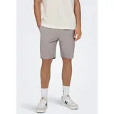 Only & Sons Shorts Braun XXL